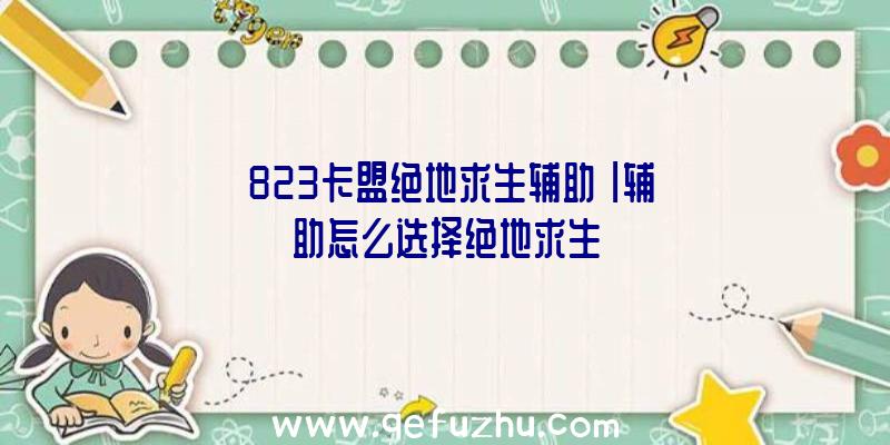 「823卡盟绝地求生辅助」|辅助怎么选择绝地求生